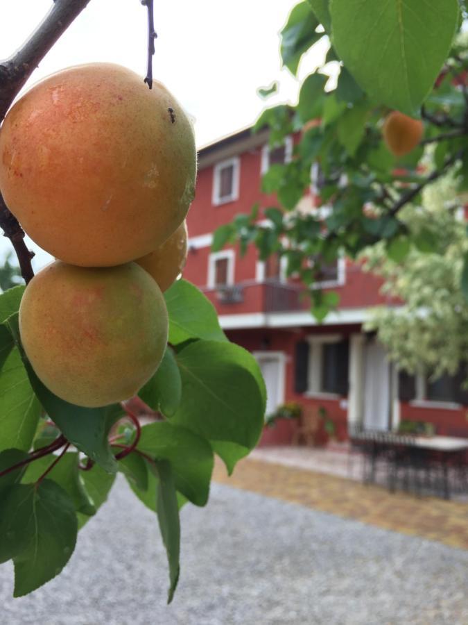 B&B Casa Del Conte Soligo Экстерьер фото