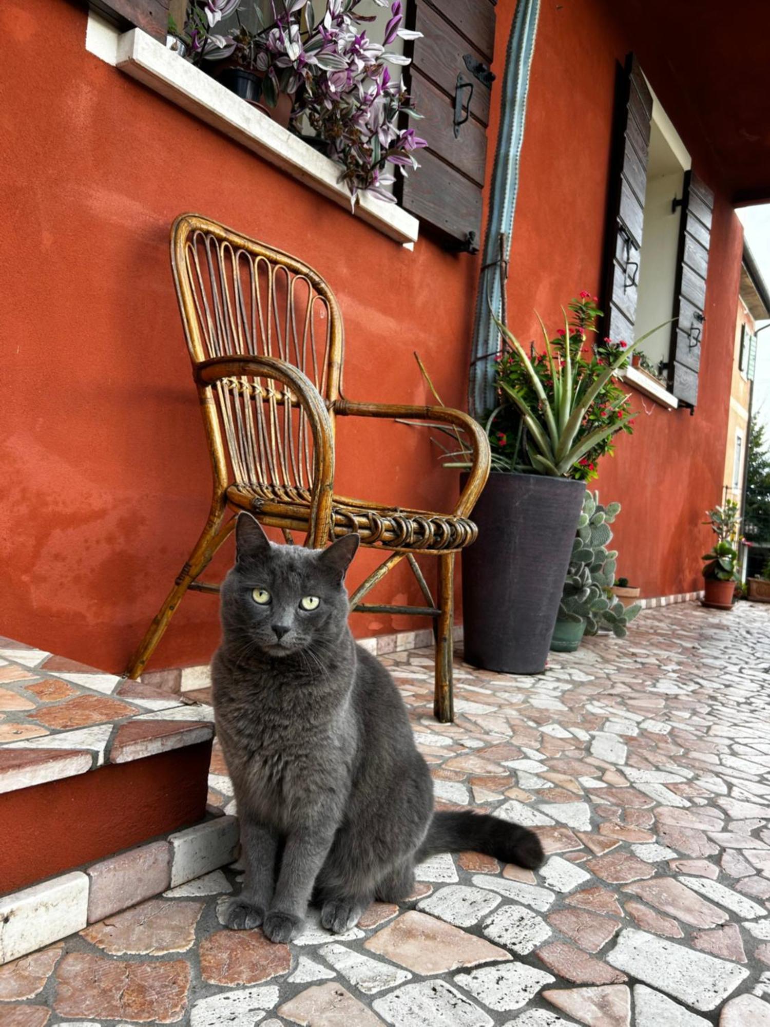 B&B Casa Del Conte Soligo Экстерьер фото